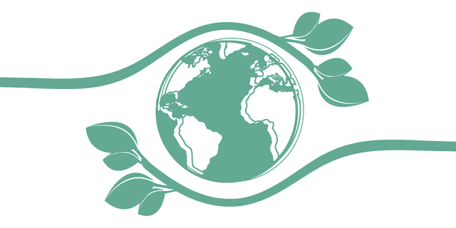 Camytrade Logo
